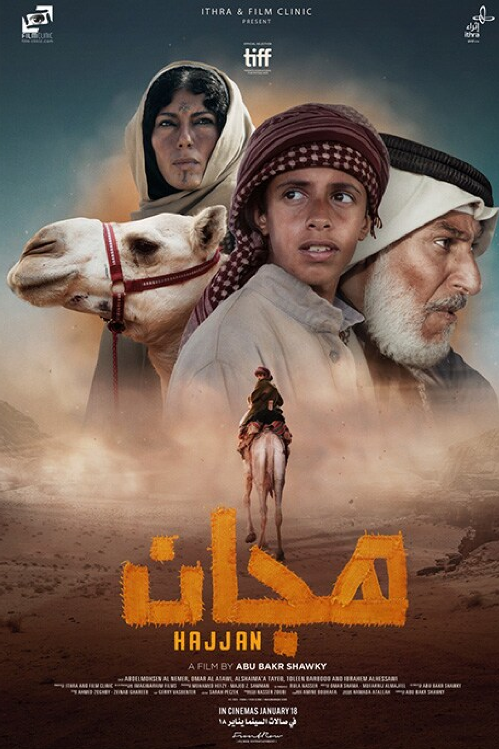 هجان